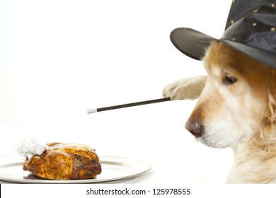 Dog Doing A Magic Trick Conjuring Up A Chicken Roast