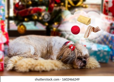 Dog Dreaming Of Its Favorite Things Under Christmas Trea