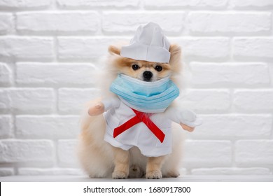 Dog Dressed As A Doctor Or Vet