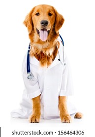 dog doctor