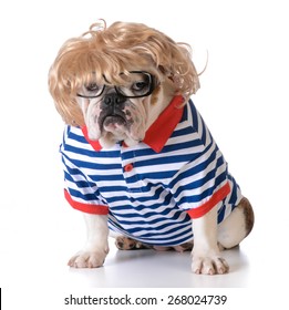 Dog Dressed Up Like A Human With Wig, Glasses And Shirt On White Background