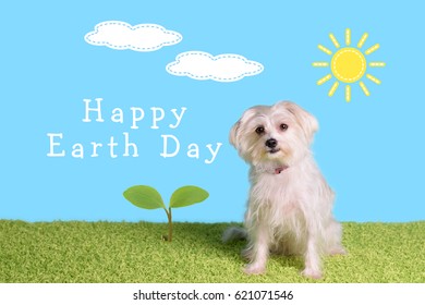 Dog Earth Day