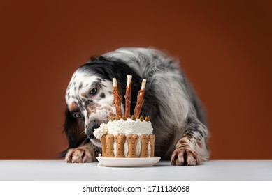 Dog Eating A Birthday Cake