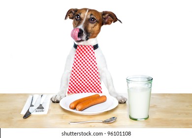 Dog Eating On Table