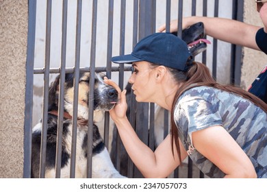 Dog in an enclosure at an animal shelter. Large dogs behind bars in cages. An animal welfare volunteer takes care of homeless animals at a shelter. - Powered by Shutterstock