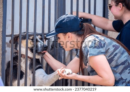 Dog in an enclosure at an animal shelter. Large dogs behind bars in cages. An animal welfare volunteer takes care of homeless animals at a shelter.