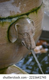 A Dog Face On Water Fountain