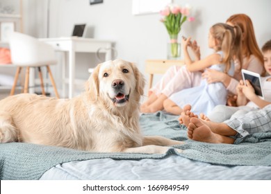 Dog With Family In Bedroom At Home