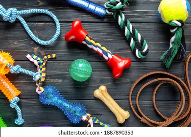 Dog feeding and care concept background. Pet care and training concept. Toys, balls, bones, collar, leash for playing and training	