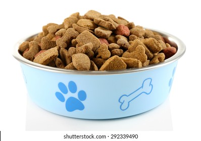 Dog Food In Bowl, Isolated On White