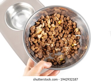 Dog Food In Bowl For Large Adult Dog. Kibbles Mixed With Wet Food For A Picky Eater. A Hand Is Holding Pet Dish On Top Of A Elevated Dog Feeding Station. Isolated On White. Selective Focus.