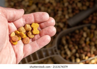 Dog Food Kibble Pieces In The Palm Of Your Hand For A Close Up