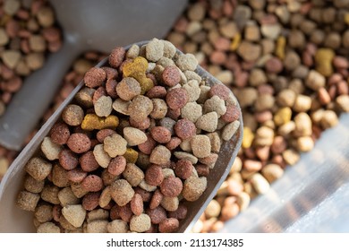 Dog Food Kibble Pieces In A Scooper  For A Close Up