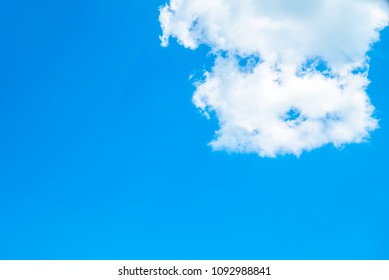 a dog in the form of a snout
