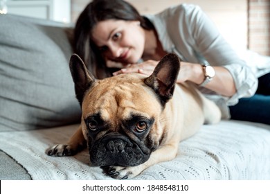 37,245 Pet parents Images, Stock Photos & Vectors | Shutterstock