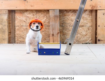 Baustelle Lustig Bilder Stockfotos Und Vektorgrafiken Shutterstock