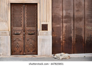 Dog And Gate 