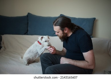 Dog Gives A Paw And Greet His Human Friend