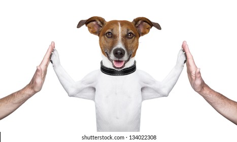 Dog High Five Images Stock Photos Vectors Shutterstock