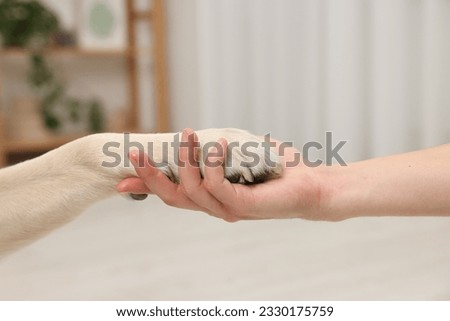 Dog giving paw to man at home, closeup