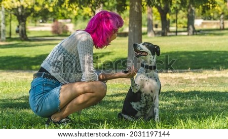 DOG GIVING THE PAW TO ITS OWNER, TRAINED DOG GIVING THE PAW TO HIS MASTER, PINK-HAIRED WOMAN LOOKING AT HER DOG IN THE PARK