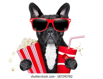 Dog Going To The Movies With Soda And Glasses