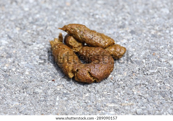 Dog Golden Poop On Street Stock Photo (Edit Now) 289090157