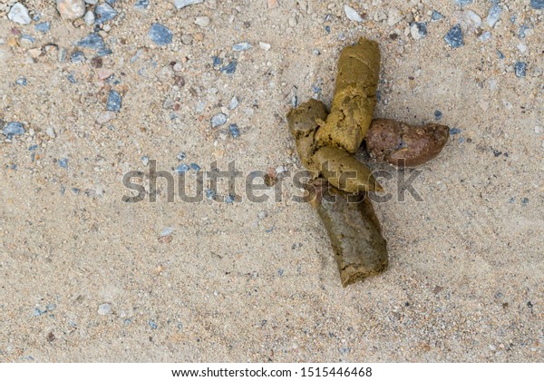 Dog Golden Poop On Streetclose Feces Stock Photo Edit Now