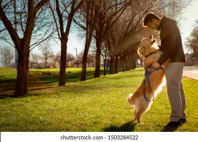 Dog (golden retriever) and man staring at each other in a lovely way. Park background with the daylight and sun rays behind. Horizontal Photography - Powered by Shutterstock