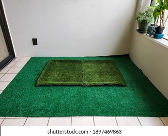 Dog Grass Pee Pads For Potty Training A Puppy At Home Or Apartment.  The Image Is Selective Focus. 