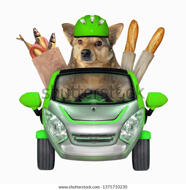 The dog in a green helmet is\
in a car with a grocery bags full of food. White background.\
Isolated.