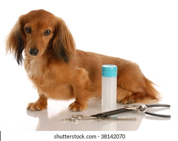 Grooming Supplies Images Stock Photos Vectors Shutterstock