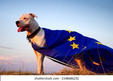 dog-guard-european-union-superdog-260nw-