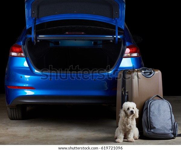 Dog guard luggage next to car. Open car trunk\
with baggage