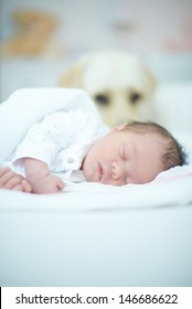 Dog Guarding Sleeping Newborn Baby Girl