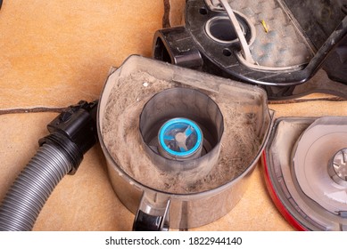 Dog Hair Collected By Vacuum Cleaner