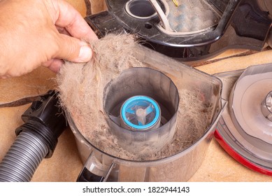 Dog Hair Collected By Vacuum Cleaner