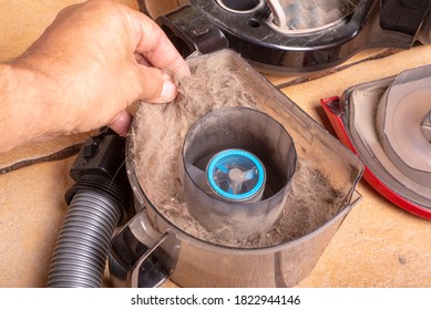 Dog Hair Collected By Vacuum Cleaner