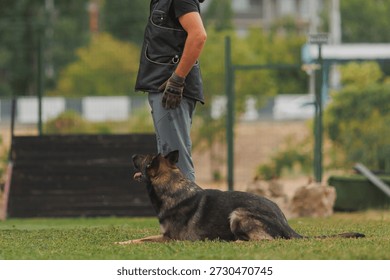 A dog handler and a German Shepherd training. German Shepherd training.