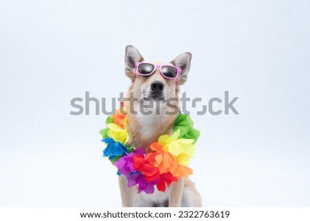dog with Hawaiian flower necklace and sunglasses