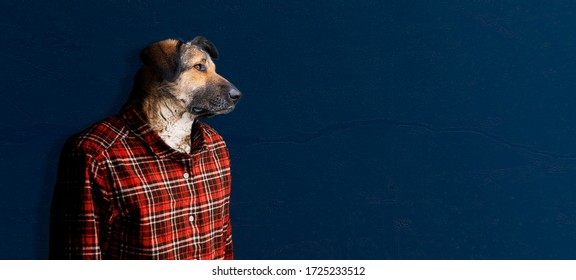 A Dog Head In Human Body, Simple Animal Creative Concept Isolated On Colorful  Background