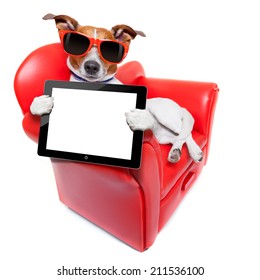 dog holding a blank and empty tablet pc computer on a red fancy funny sofa , resting and relaxing