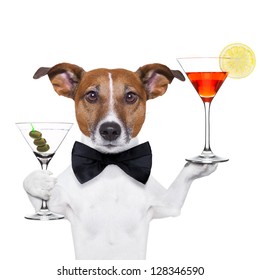 dog holding cocktails and a black tie