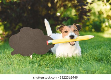 Dog holding pencil lying next to blackboard for chalk inspection about sale or discounts. Back to school humorous concept - Powered by Shutterstock