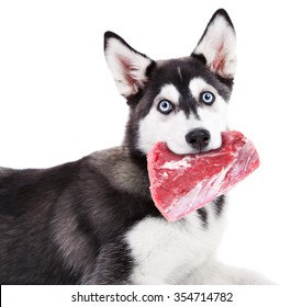 Dog Holding Raw Meat In Its Mouth,  Isolated On White