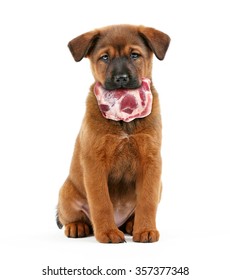 Dog Holding Raw Meat In Its Mouth,  Isolated On White