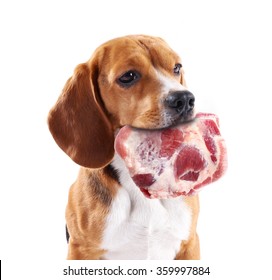 Dog Holding Raw Meat In Its Mouth,  Isolated On White