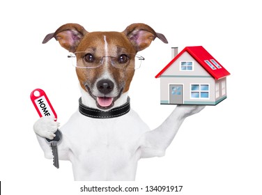 Dog Holding A Small House And A Red Key