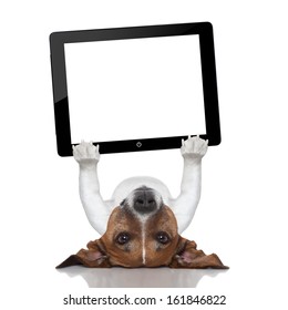 Dog Holding A Tablet Pc Lying Upside Down