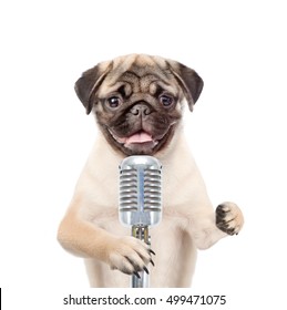 do dogs like when you sing